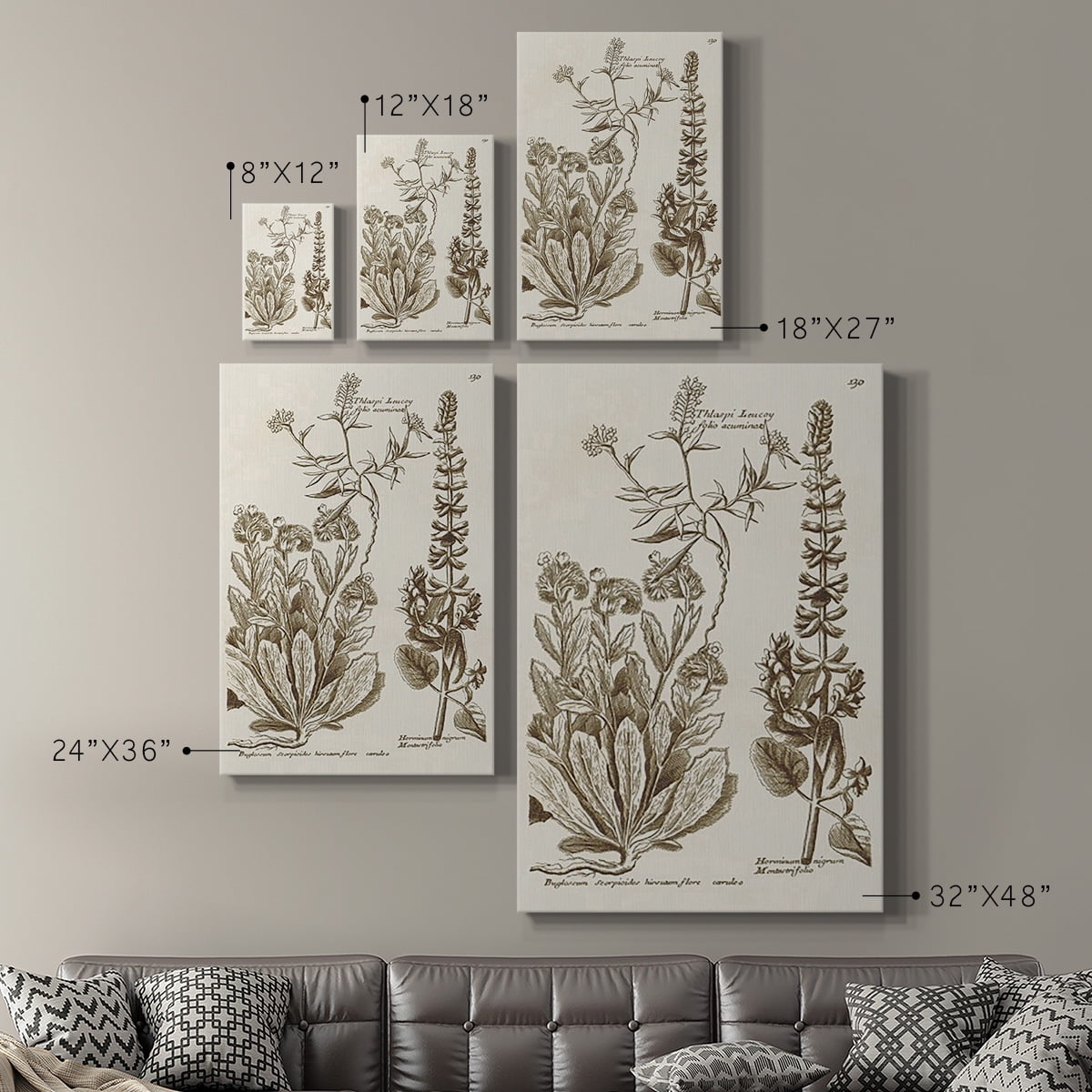 Sepia Botanical Journal IV Premium Gallery Wrapped Canvas - Ready to Hang