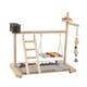 thumbnail image 1 of Parque de juegos para loros, soporte de juego para loros, juguete de ejercicio, gimnasio para pájaros, soporte de madera para agapornis, cotorras,, 1 of 9