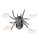 thumbnail image 4 of Decoración de fiesta de Navidad de Halloween, simulación de control remoto de araña, simulación de control remoto, juguete de araña, simulación de juguete de araña, valor excepcional, 4 of 8
