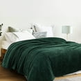 thumbnail image 5 of Exclusivo Mezcla Fuzzy Fleece Queen Size Bed Blanket, Lightweight Fluffy Solid Velvet Queen Blankets, 90x90 Inches, Forest Green, 5 of 11