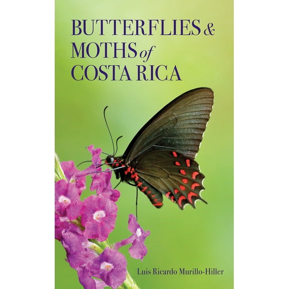 Zona Tropical Publications / Antlion Med Butterflies and Moths of Costa Rica, (Paperback)