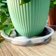 thumbnail image 5 of Paquete de 8 Platillos Transparentes para Plantas, Platillos de Plástico para Plantas de 10 Pulgadas, Bandeja para Plantas Más Gruesa, Maceta para Jardín Interior y Exterior, 5 of 5
