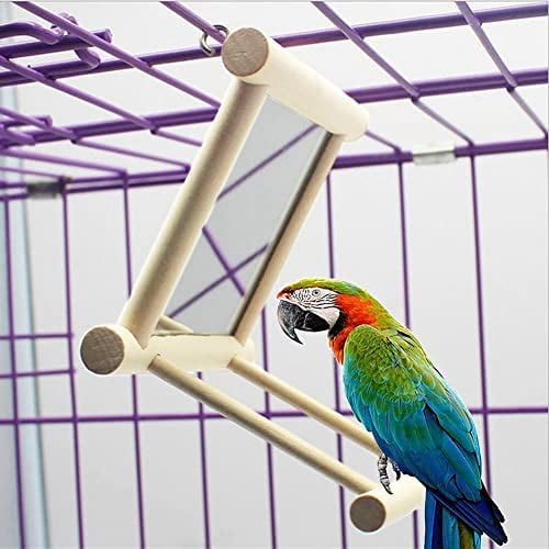Egebert Bird Mirrors for Parakeets, Bird Toy for Parakeet, Bird Mirror