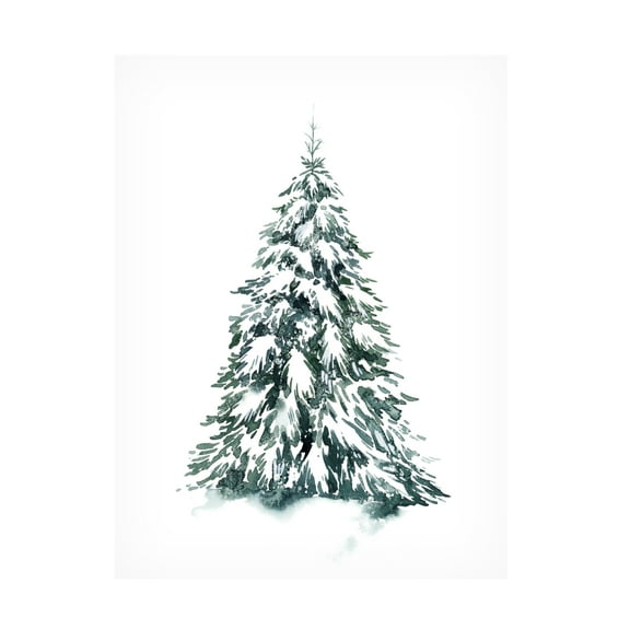 Grace Popp 'Blue Spruce II' Canvas Art