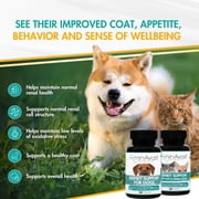 AminAvast Kidney Support for Cats & Small Dogs, 300mg, 60 Capsules