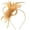 Gold, variant on Lumistal Kentucky Hat Derby Fascinator for Women Tea Party Flower Mesh Ribbons Feathers Headband Hair Clips Headpiece Hat Clip Headwear Halloween Decoration Accessory Gold One Size