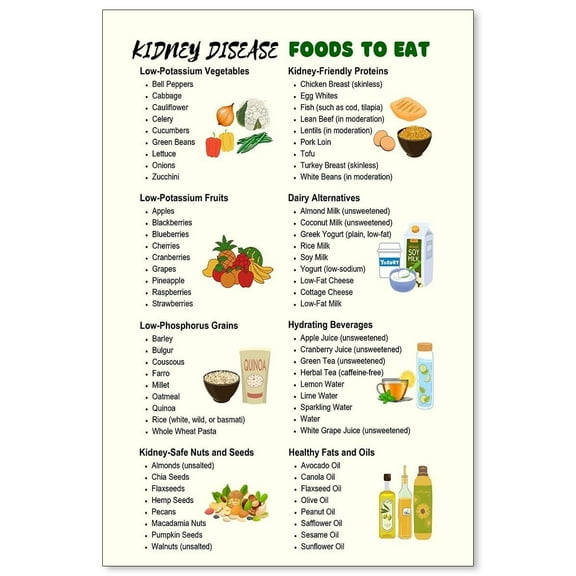 Kidney disease foods to eat Posters