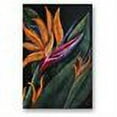 thumbnail image 2 of All My Walls 'Birds of Paradise 1' by Elaine Hodges Painting Print Plaque, 2 of 2