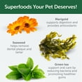 thumbnail image 5 of Nature's Protection Superior Care Dog Treats for Vision Support, White Coat Puppies, Salmon, 5.29oz, 5 of 8