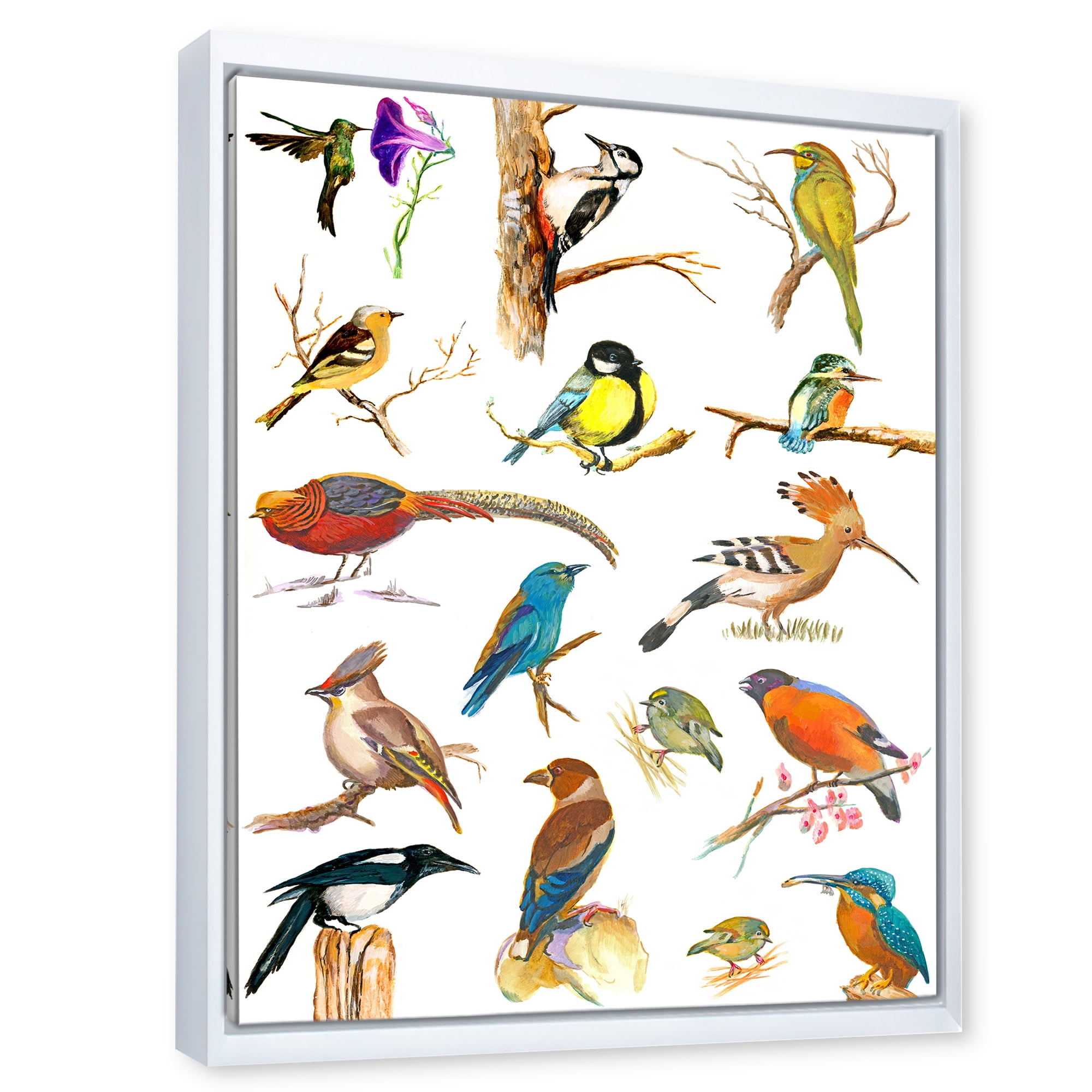 Vital Colored Birds Plancard 24 in x 32 in Framed Painting Canvas Art Print, by Designart