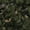 Color 2, variant on Peel and Stick Wallpaper Seamless Camouflage 24in x 118in Contact Paper Removable Self Adhesive Wall Mural Wall Decor for Bedroom Kitchen Cabinets