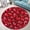 Cranberry, variant on Round Rug, Reading Cute Design Soft Washable Carpet, Non-Slip Floor Mat for Living Room Bedroom Home Decor 24 Inch