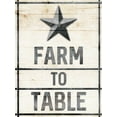 thumbnail image 2 of Villa, Milli 25x32 White Modern Wood Framed Museum Art Print Titled - Star Farm, 2 of 4