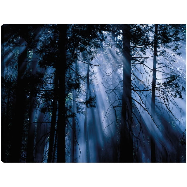 Cuadro Decorativo - Árboles iluminados por la luna, Yosemite Jr Impresión en canvas, estrechado.