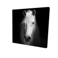 thumbnail image 1 of Monochrome horse - 36"x36" canvas - Print on demand, 1 of 5