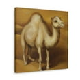 thumbnail image 5 of "Dromedary in Deserts" - Canvas, 5 of 25