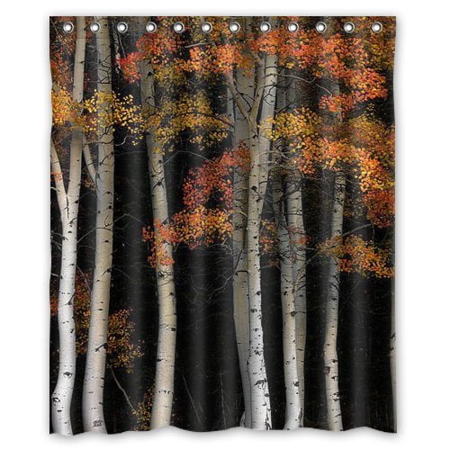 Greendecor White Birch Tree Waterproof Shower Curtain Set With Hooks Bathroom Accessories Size 60x72 Inches Walmart Com Walmart Com