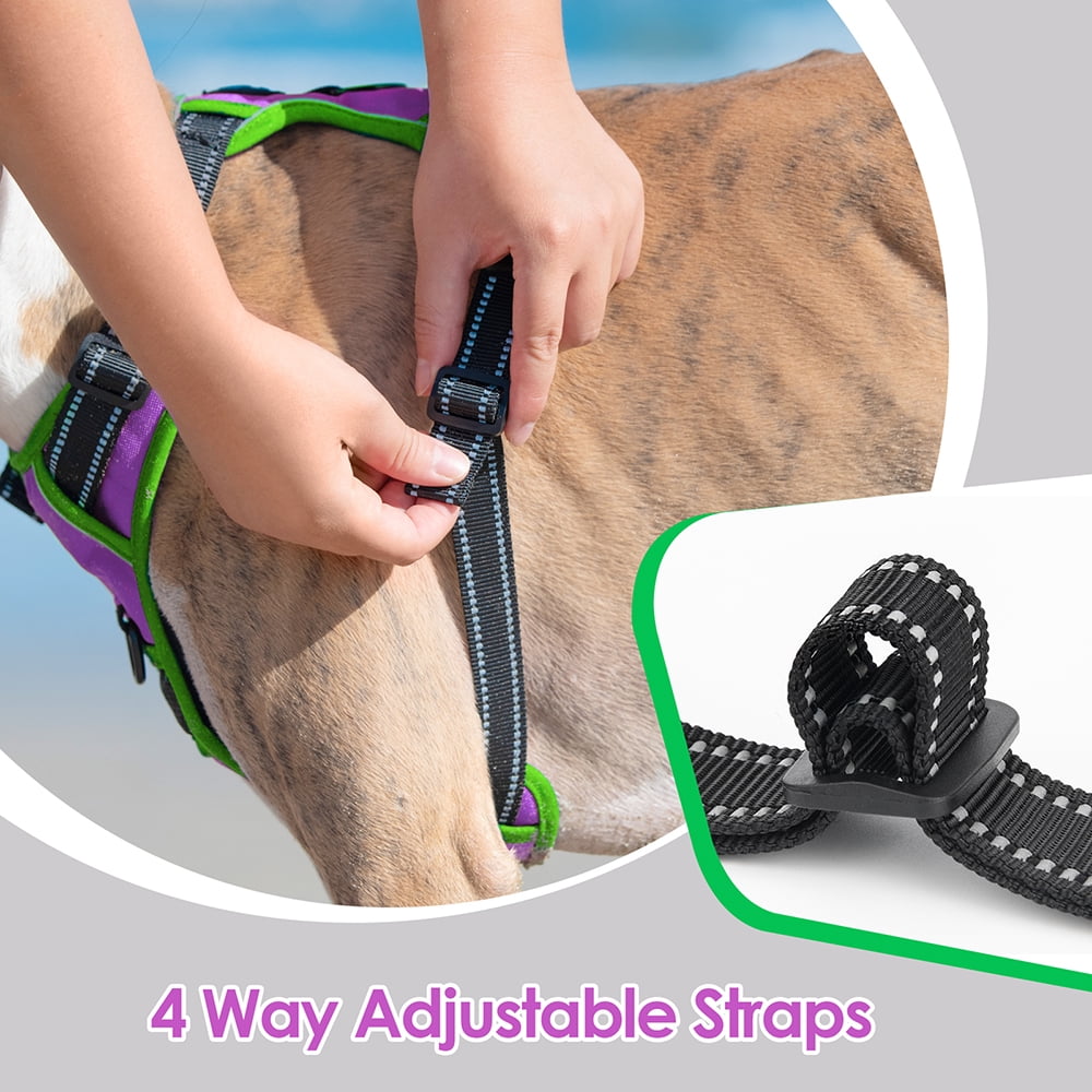 PHOEPET 2019 Upgraded No Pull Dog Harness, Reflective Adjustable Vest, with a Training Handle + 2 Metal Leash Hooks+ 3 Snap Buckles +4 Slide Buckles