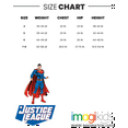 thumbnail image 4 of DC Comics Justice League 2 Pack T-Shirts Logo Little Kid, 4 of 4