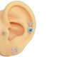thumbnail image 4 of 1 pieza de nuevo modelo de oreja de silicona, herramientas profesionales para practicar la perforación de pendientes, herramientas de exhibición para pendientes, se pueden reutilizar, joyería corporal, 4 of 5
