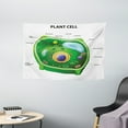 thumbnail image 1 of Educational Tapestry, Plant Cell Biology Research Botany Anatomy Structure Organic Life Nature, Wall Hanging for Bedroom Living Room Dorm Decor, 60W X 40L Inches, Green Pale Blue, by Ambesonne, 1 of 2