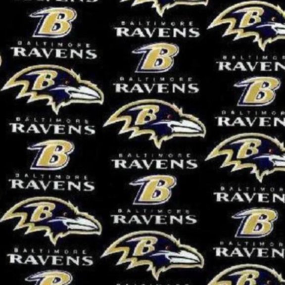 Handmade Valance or Curtain Panel Ravens