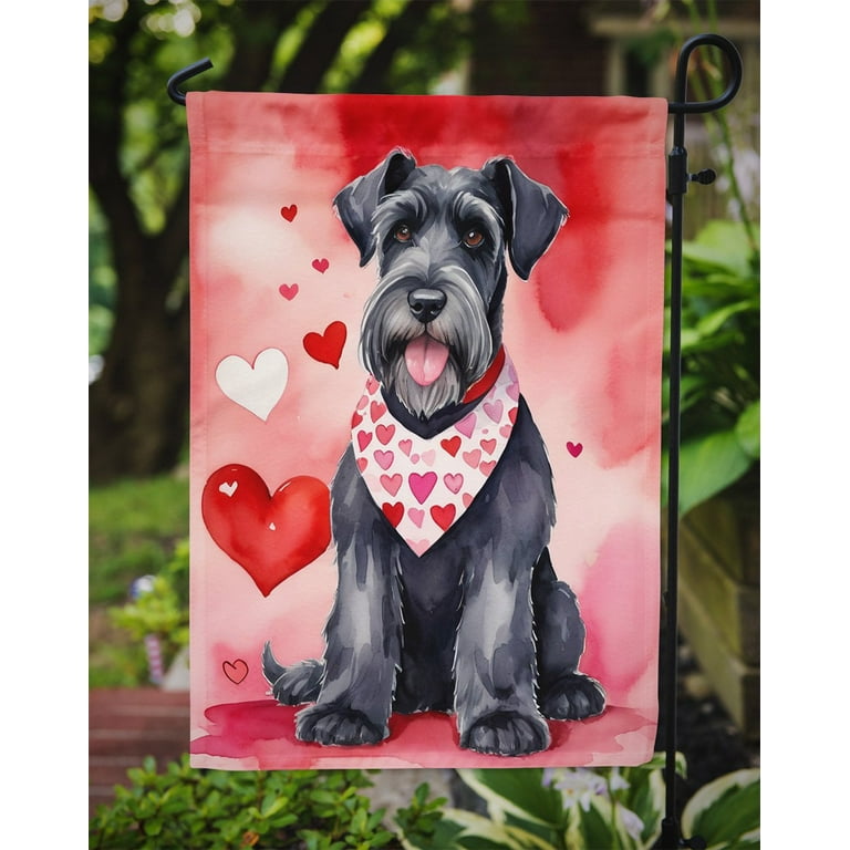 Giant Schnauzer My Valentine Garden Flag in x in
