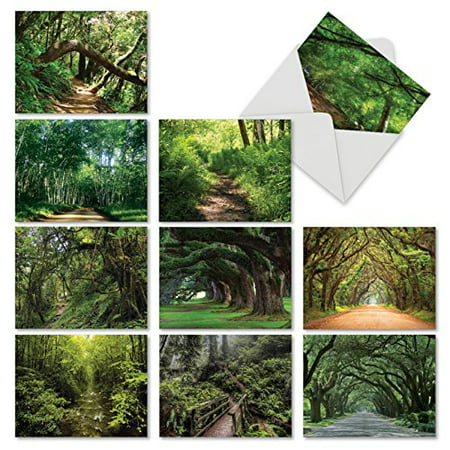 'M6467OCB NATURE TRAILS' 10 Assorted All Occasions Greeting Cards Featuring Meandering Paths and Trails Through Lush Forests and Overhanging Trees with Envelopes by The Best Card (Best Nature Trails In Georgia)