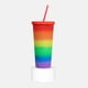 thumbnail image 1 of Vaso de plástico doble pared y popote -pride, 1 of 7