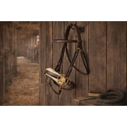Horse Western Fleece Padded Brown Leather Brass Cheeks Adjustable Hackamore 35H46