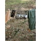 thumbnail image 5 of Ropa Seca para Tendedero Portátil Al Aire Libre, 5 of 9