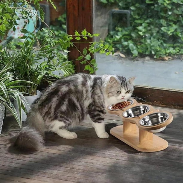 Elevados para Gatos con 3 de Acero Inoxidable Elevados para Comida y Agua Cuenco Elevado para Mascotas con Inclinación de 15 Grados