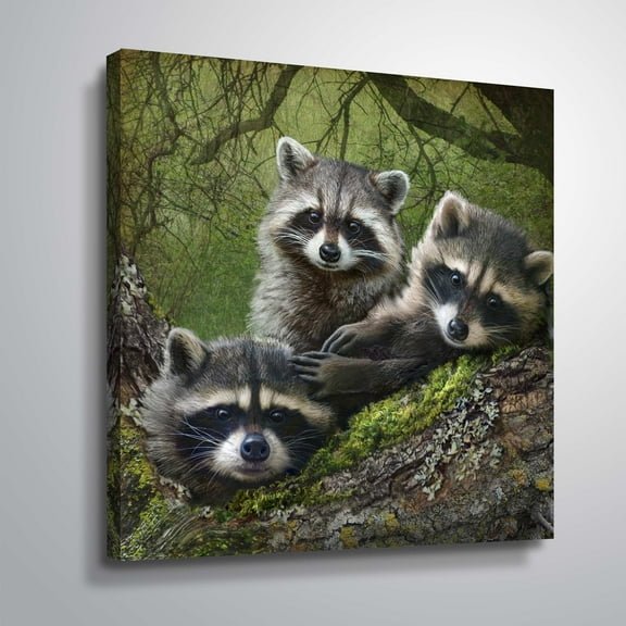 Raccoons as art