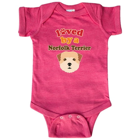 

Inktastic Norfolk Terrier Dog Lover Gift Baby Boy or Baby Girl Bodysuit