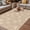 Beige, variant on Brown Floral Outdoor Rug for Patio/Deck/Porch, Non-Slip Large Area Rug 6 x 9 Ft, Vintage Spring Botanical Flowers Indoor Outdoor Rugs Washable Area Rugs, Reversible Camping Rug Carpet Runner