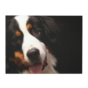 Bernese Mountain Dog Canvas Wall Art Prints Wall Art Wall Hanging Painting For Home Decor 11.8 x 15.7 in