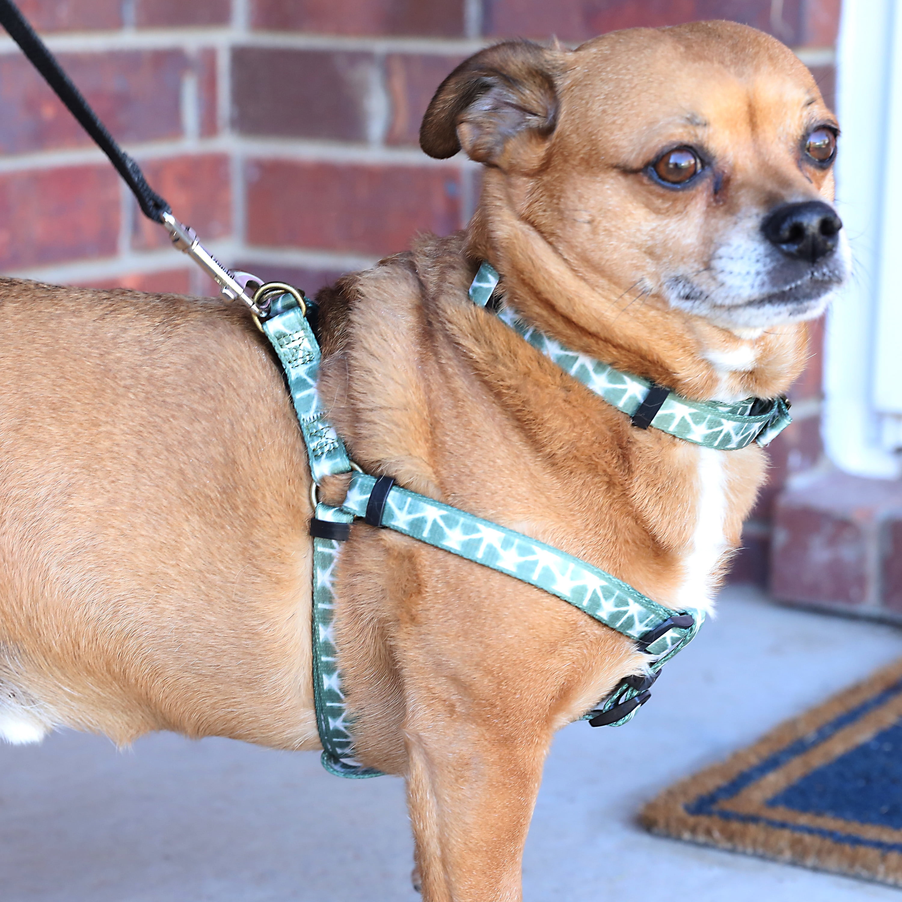 Vibrant life step hotsell in dog harness