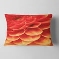 thumbnail image 2 of Designart Abstract Orange Flower and Petals - Floral Throw Pillow - 12x20, 2 of 5