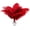 Red, variant on 20pcs Natural Red Ostrich Feathers 10-12 inch (25-30cm) Bulk Feathers for Wedding Party Centerpieces, Home Decoration and DIY Clothing, Gatsby Decorations