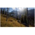thumbnail image 2 of Videojuego THQ Nordic WAY OF THE HUNTER, 2 of 5