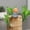 🔥 A_New, variant on Sentmoon Room Decor Small Decoration Zen Monk Home Decoration Living Room Tea Table Doll Doll Cure Department Decompression