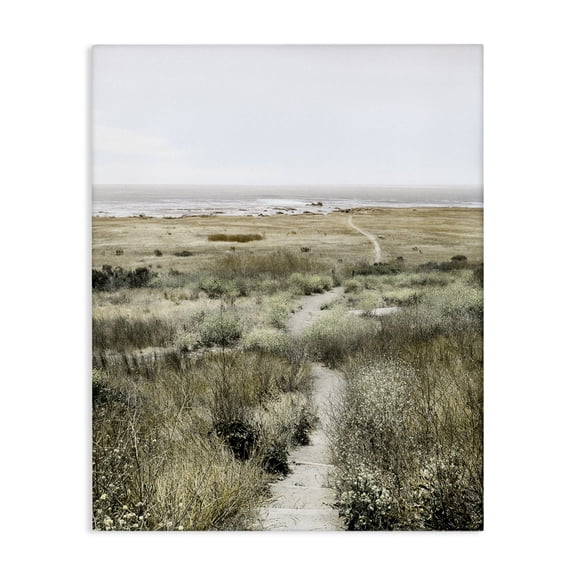 Stupell Industries Transitional Distant Shoreline Grassy Beach Path Cloudy Horizon Canvas Art, 16 x 20, by Danita Delimont