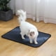 thumbnail image 3 of Almohadilla para orina de mascotas, almohadilla de entrenamiento para hámster y gato, almohadilla absorbente de agua lavable, 3 of 5