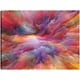 thumbnail image 1 of Explosión de colores Cosmo, 1 of 4