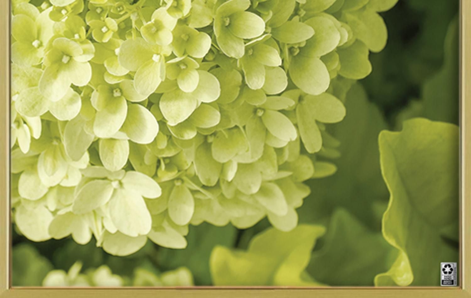 Hometrends Aluminum Poster Frame, Gold, 18x24in, 18in x 24in