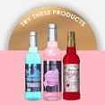 Jordan's Skinny Syrups Fantasy Collection Variety Pack Sugar Free