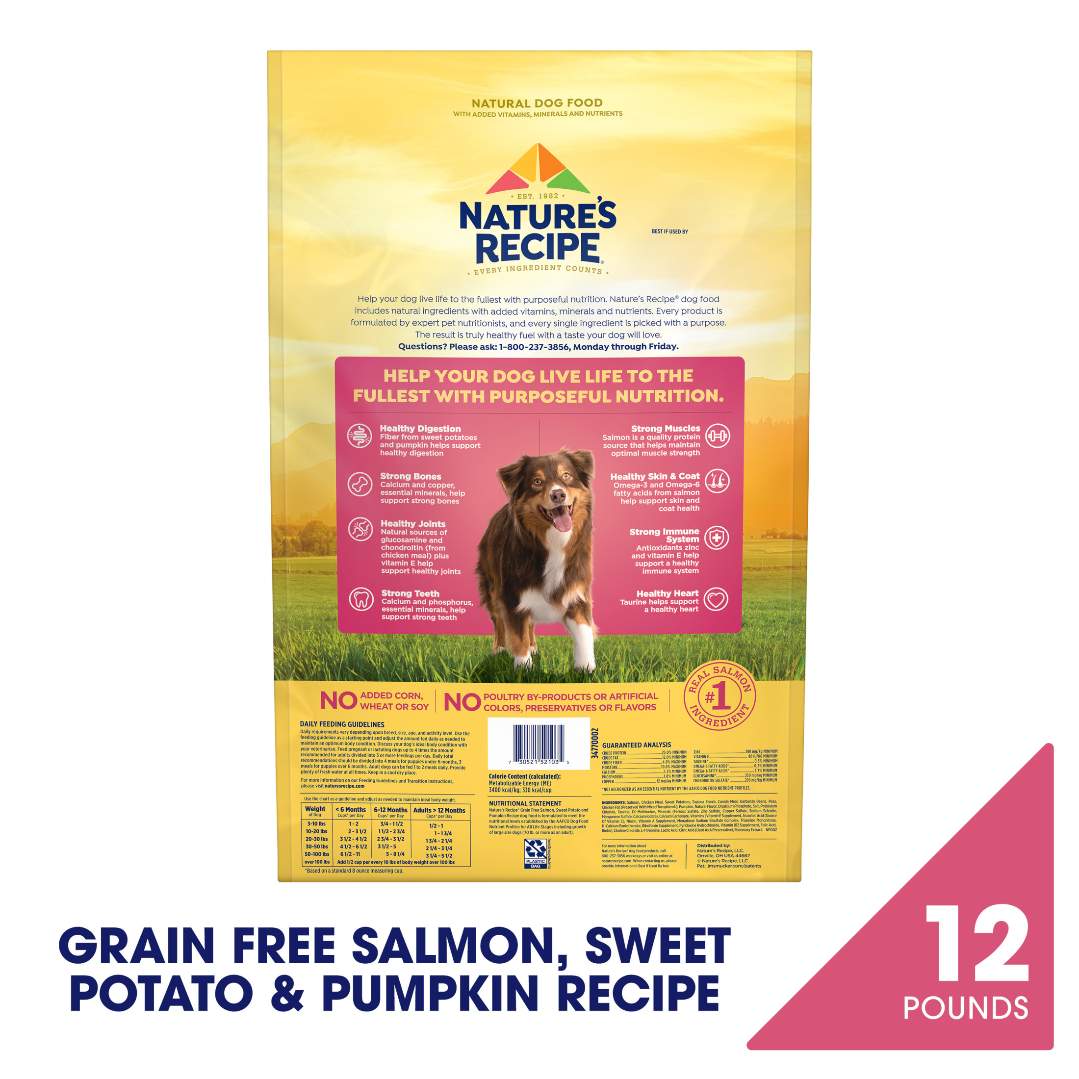 Nature's Recipe Grain Free Salmon, Sweet Potato & Pumpkin Dog Food photo 2