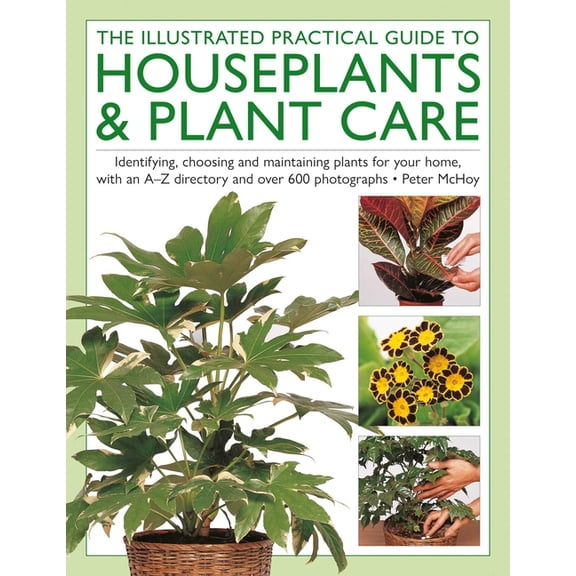 The Houseplants & Plant Care, Illustrated Practical Guide to: Identifying, Choosing and Maintaining Plants for Your Home, (Hardcover)