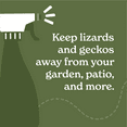 Vine Homecare Lizard Control Spray 32 Ounce Natural, NonToxic Lizard Repellent