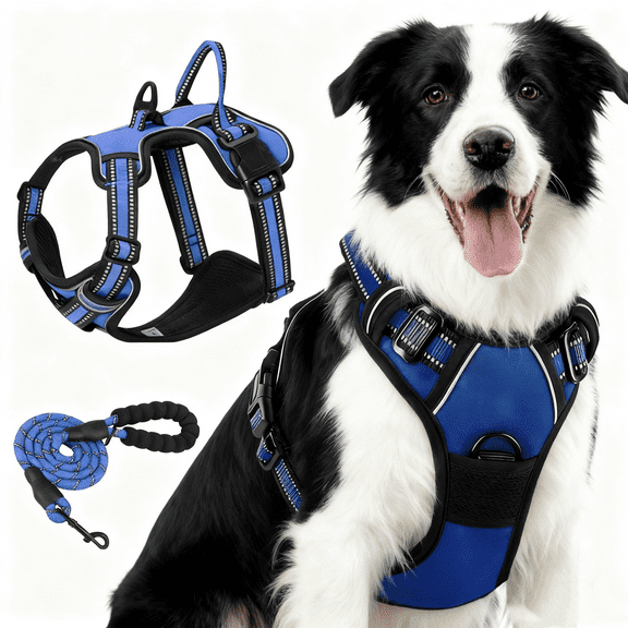 Dog Harness No Pull with 2 Leash Clips, Adjustable Soft Padded, Reflective Oxford No Choke Pet Vest with Easy Control Handle for Large Dogs, Dazzling Blue